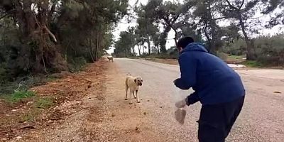 Araştırmacı Hacı Ahmet Ünlü Sokak Canlarını Unutmadı