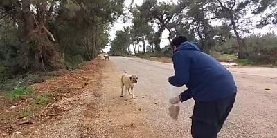 Hacı Ahmet Ünlü, Sokak Hayvanlarına Umut Oluyor